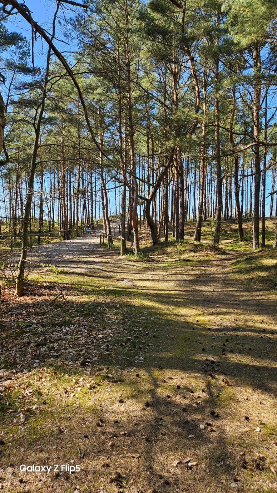 Domki U Sieronia Меленко Экстерьер фото